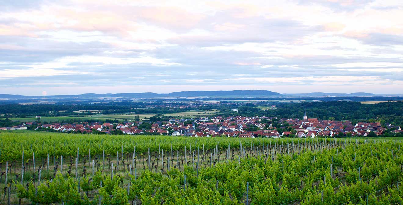 Weinberge am Sommeracher Katzenkopf